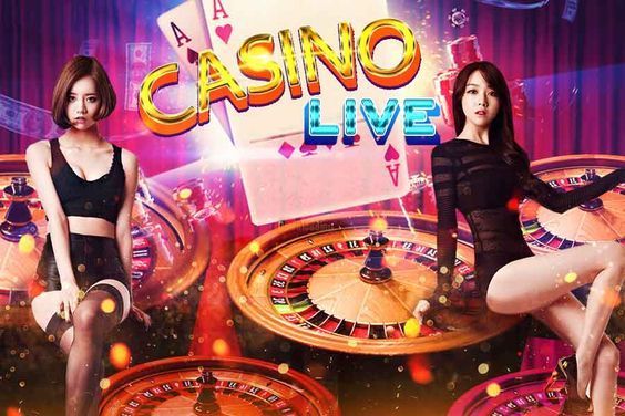 3 Patti Expert Live Betting